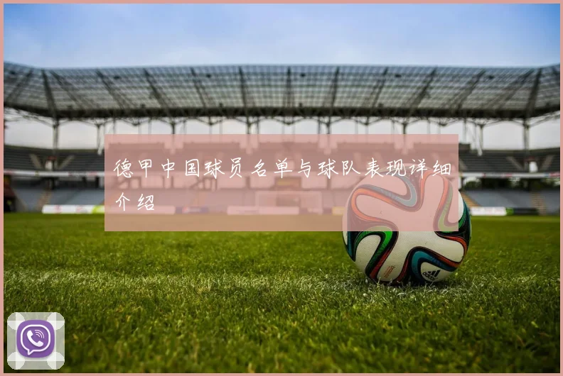 德甲中国球员名单与球队表现详细介绍