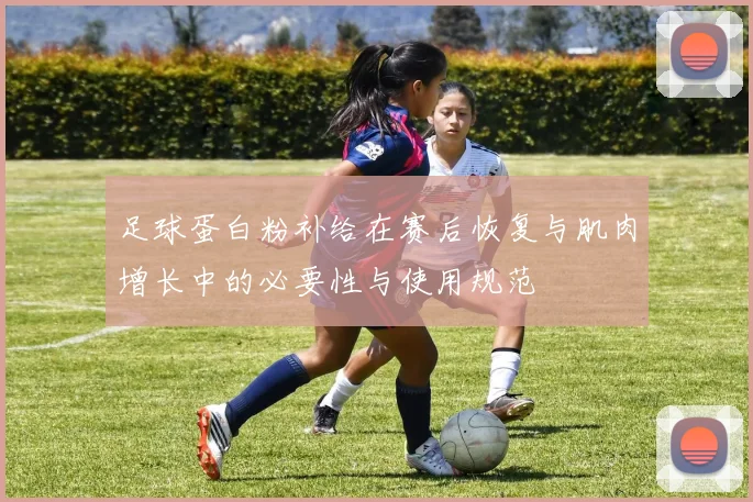 足球蛋白粉补给在赛后恢复与肌肉增长中的必要性与使用规范