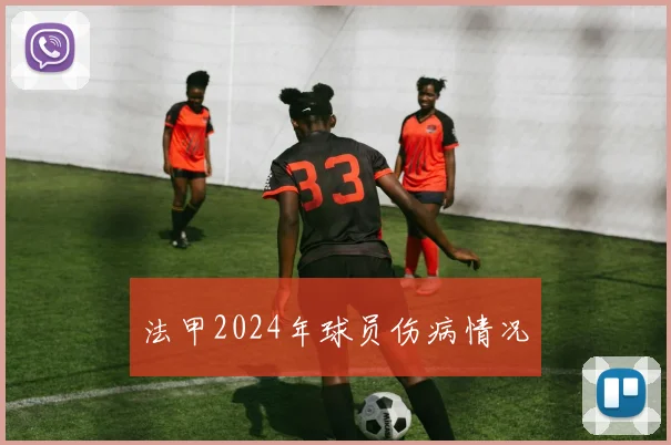 法甲2024年球员伤病情况